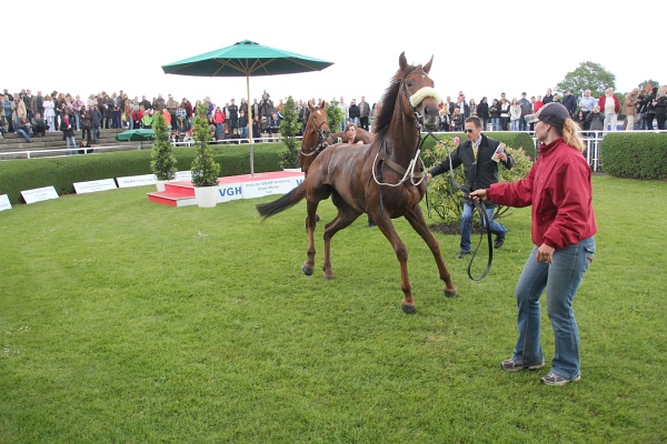 Bult VGH2011   049.jpg